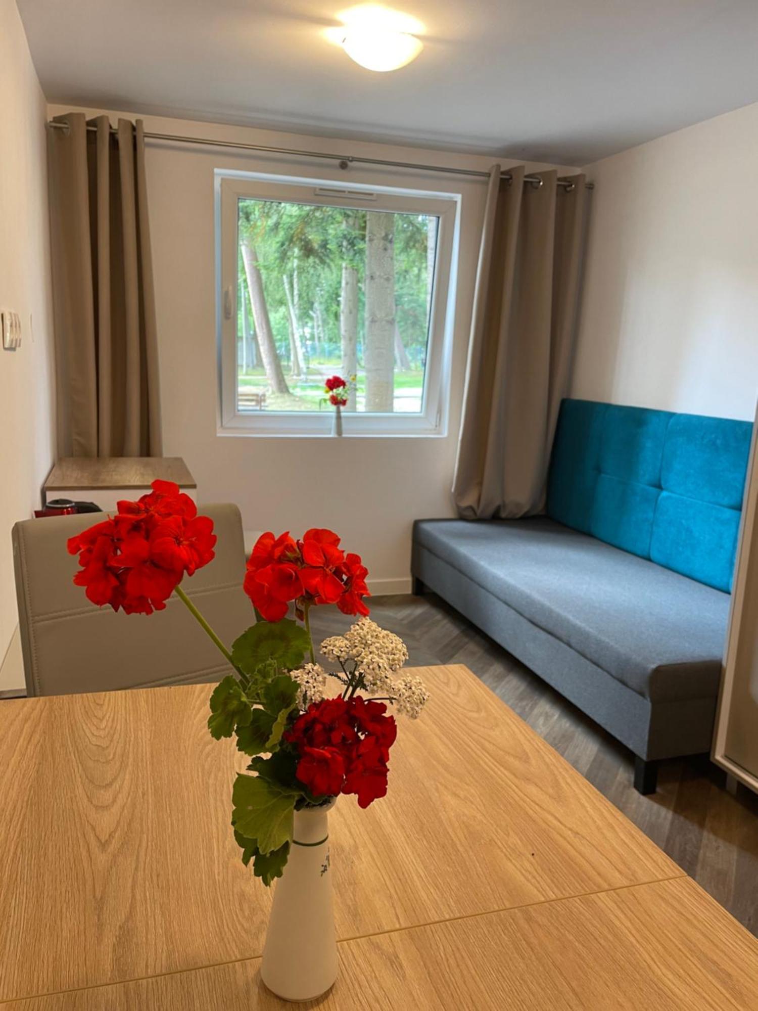 Hotel Domki Osrodek Wypoczynkowy Neptun Ujście-Darłowskie Esterno foto